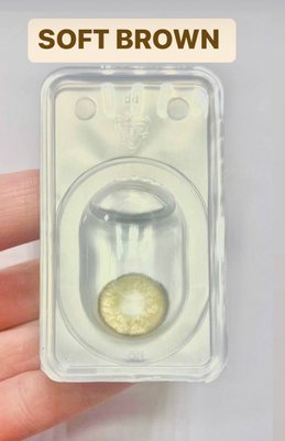 Кольорові контактні лінзи з діоптріями, Soft Brown PWR8 фото